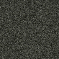 Ковровая плитка Interface Polichrome Stipple 4265008 Peat фото 1 | FLOORDEALER